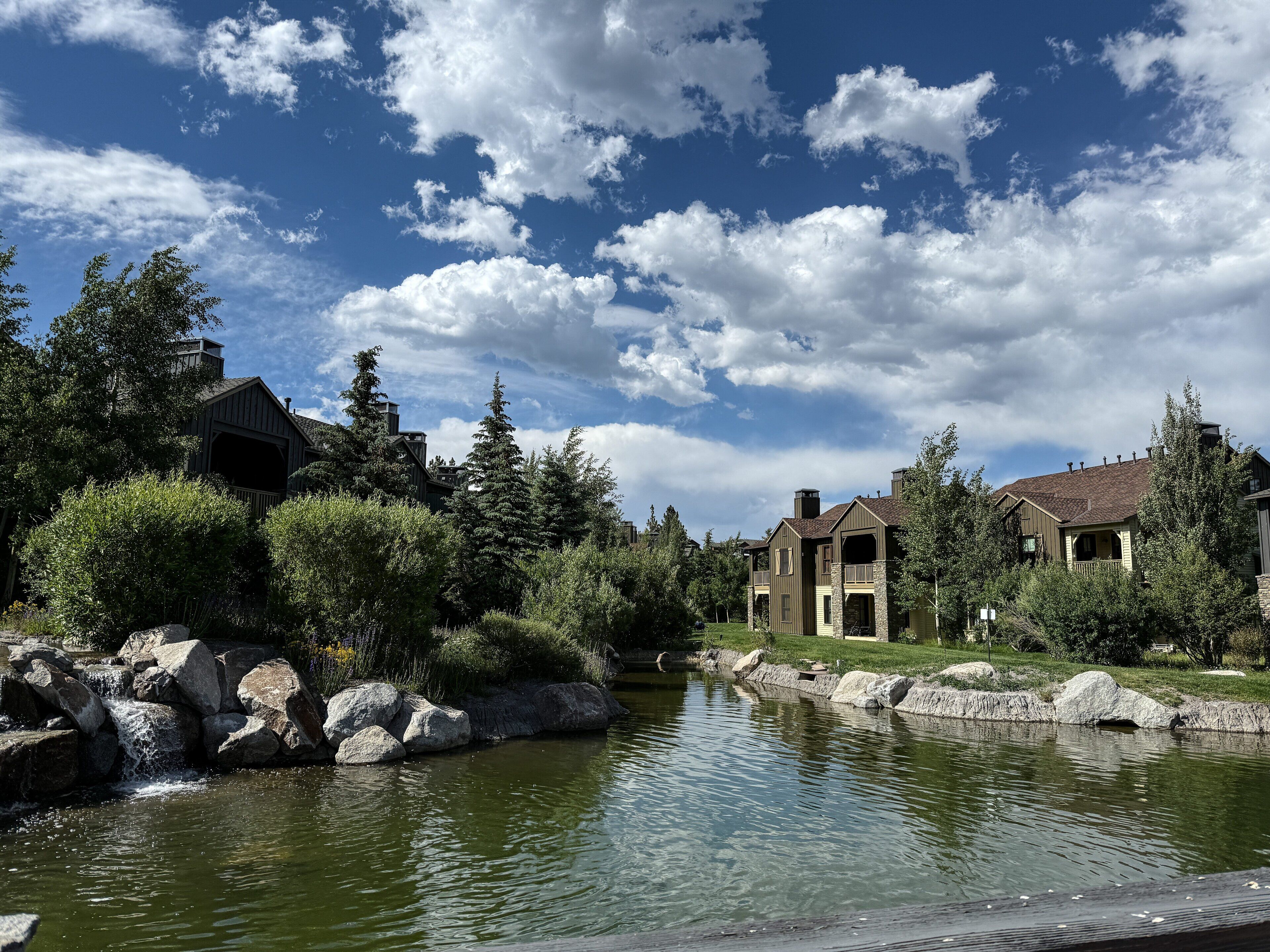 A residential area with a pond, large rocks, and houses with a mix of architectural styles.