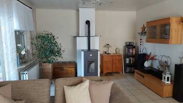 Televisio, takka, DVD-soitin, kirjoja