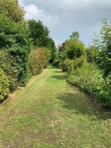 Secluded 4 bed bungalow in mature 1 acre gardens with b close to Sherwood Forest