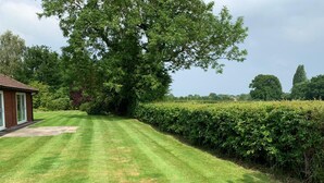 A well-maintained lawn with a hedge and a house in the background.