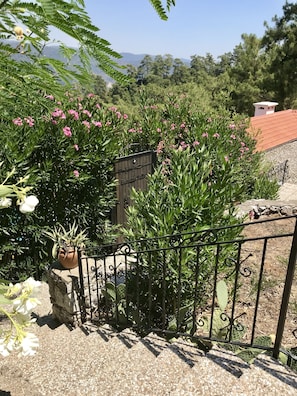 Terrain de l’hébergement