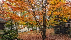 A cabin surrounded by autumn foliage with a lake in the background. - Brand new pet friendly vacation home with private dock and firepit! (St. Germain)
