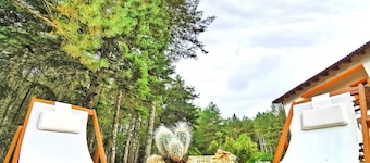 발리치올라 네이처 호텔