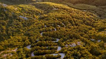 Vue aérienne d’une route sinueuse traversant une forêt dense, avec des collines en arrière-plan.