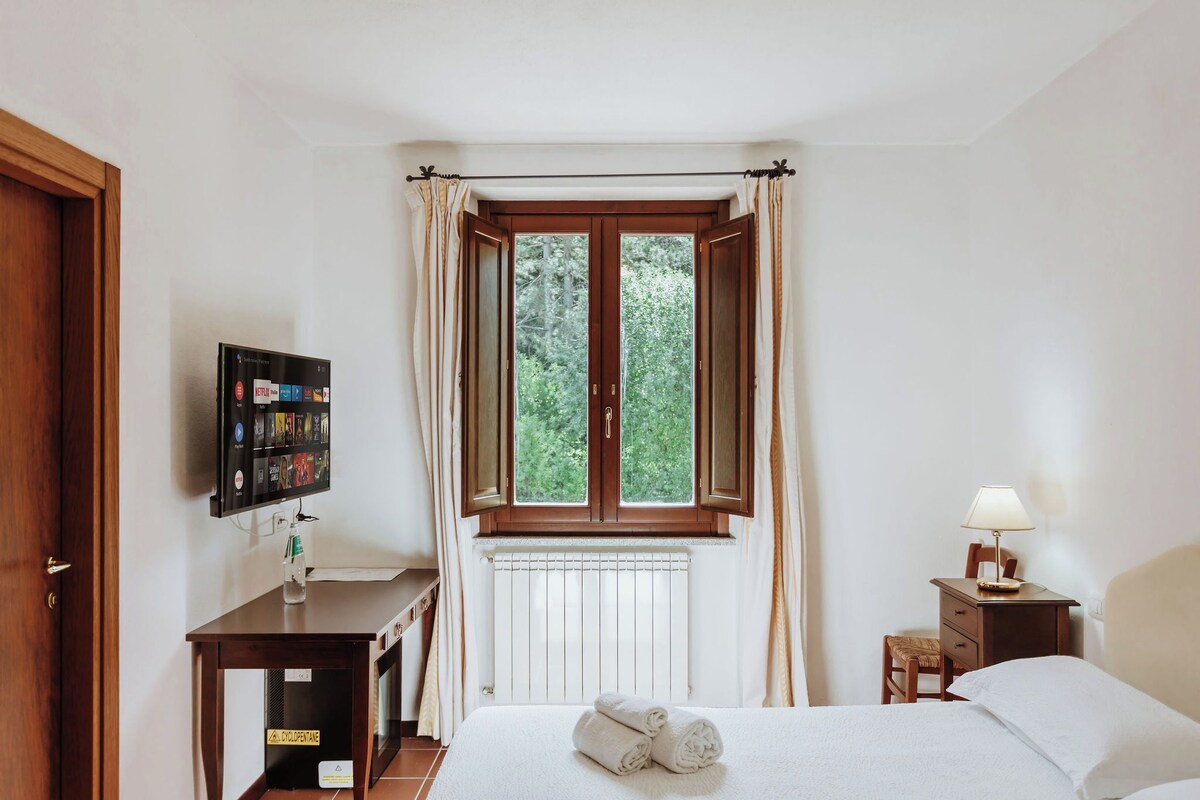 A hotel room with a bed, a desk with a television, a window with curtains, a nightstand with a lamp, and a view of trees outside.