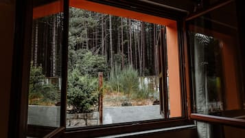 Habitación familiar, vista al parque, en edificio contiguo | Escritorio, espacio para trabajar con laptop y ropa de cama