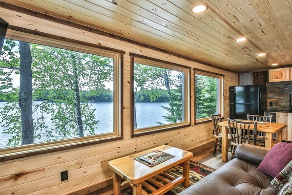 Smart TV, chimenea, reproductor de DVD y libros 