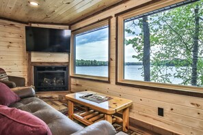 Smart TV, chimenea, reproductor de DVD y libros 