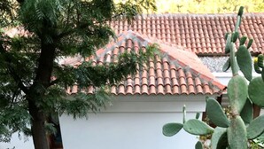 A pathway leading to a building with a tiled roof, surrounded by greenery and a cactus plant. - Olive Grove Villa, private pool & whirl pool, total privacy (Marmaris)