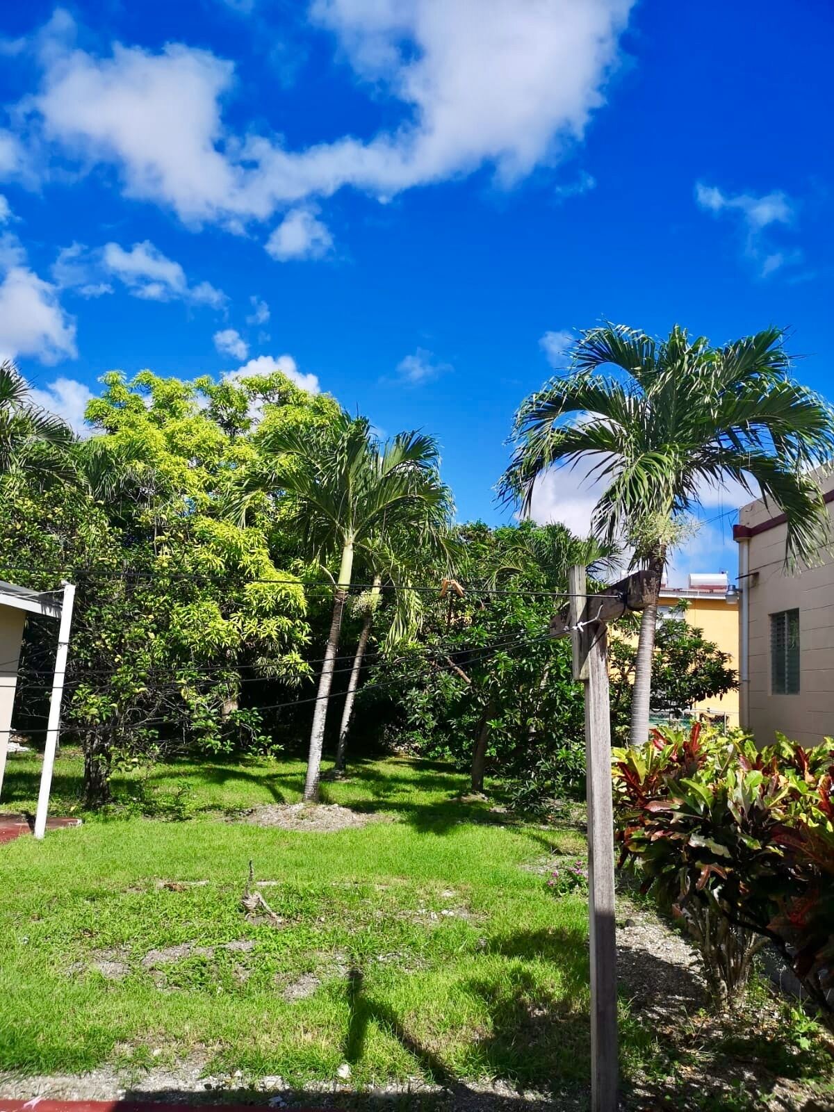 Área da propriedade