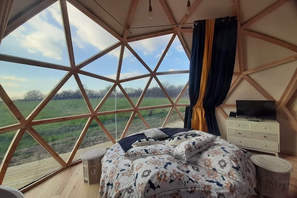 Minibar, wifi gratis y ropa de cama