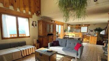 Smart TV, fireplace, books