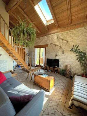 Smart TV, fireplace, books