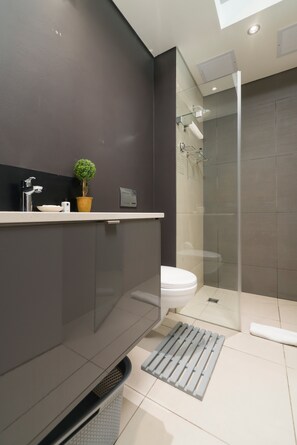 Chuveiro, secador de cabelo, toalhas de banho, papel higiênico