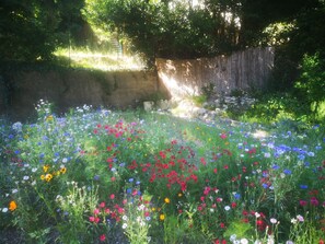 Terrain de l’hébergement 