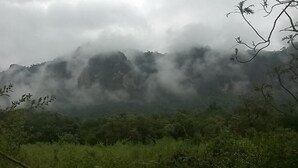 Photo non classée, 2 sur 4, bouton