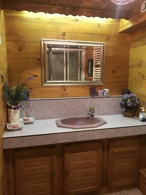 Dusche, Haartrockner, HandtĂŒcher, Toilettenpapier