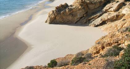 Apartment sun and sea or rather on the sea