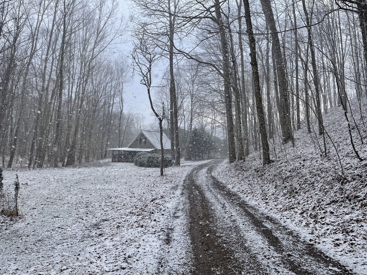 Værtens profilbillede