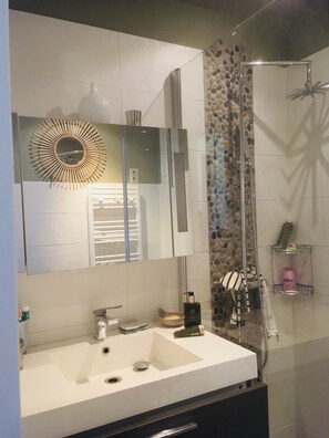 Shower, hair dryer, toilet paper