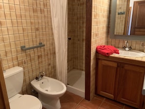 Shower, hair dryer, bidet, towels