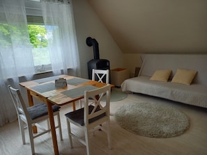 Télévision, cheminée, lecteur de DVD, chaîne hi-fi