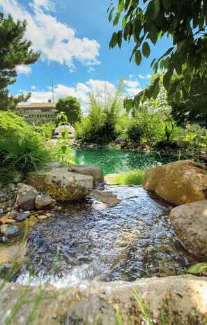 Surrounded by lush greenery, a tranquil stream flows over rocks near a building with multiple windows.
