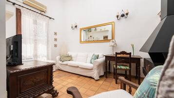 Télévision, cheminée, lecteur de DVD, livres