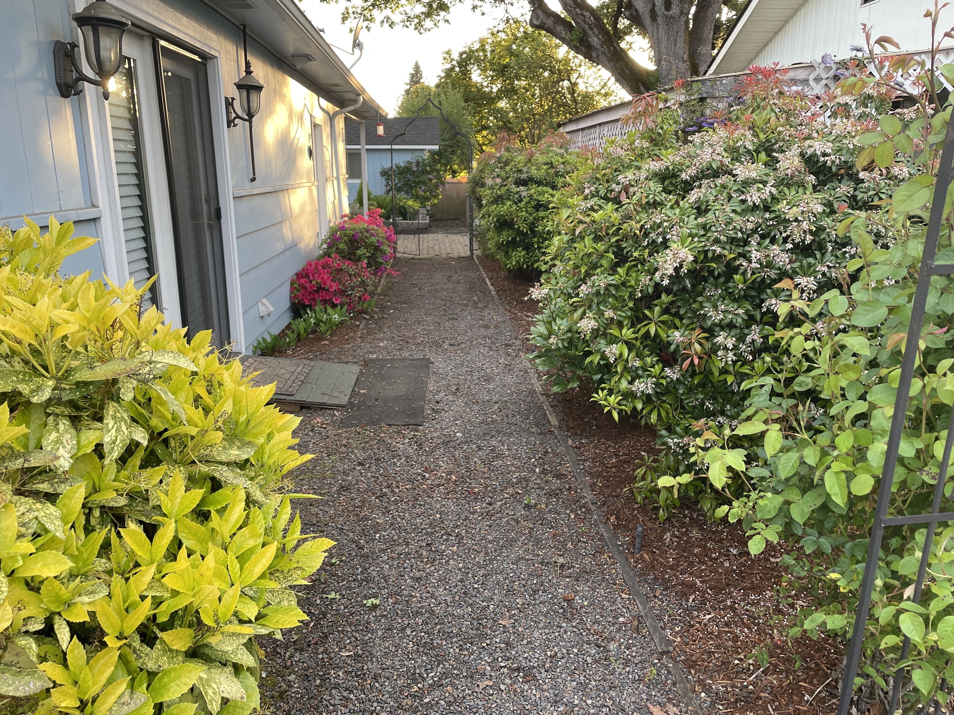 A narrow gravel pathway leading to a house with a blue exterior and a white door.
