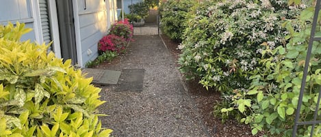 A narrow gravel pathway leading to a house with a blue exterior and a white door.