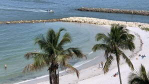 Une plage bordée de palmiers, une digue rocheuse et un bateau sur l’eau.
