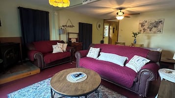 Smart TV, fireplace, books