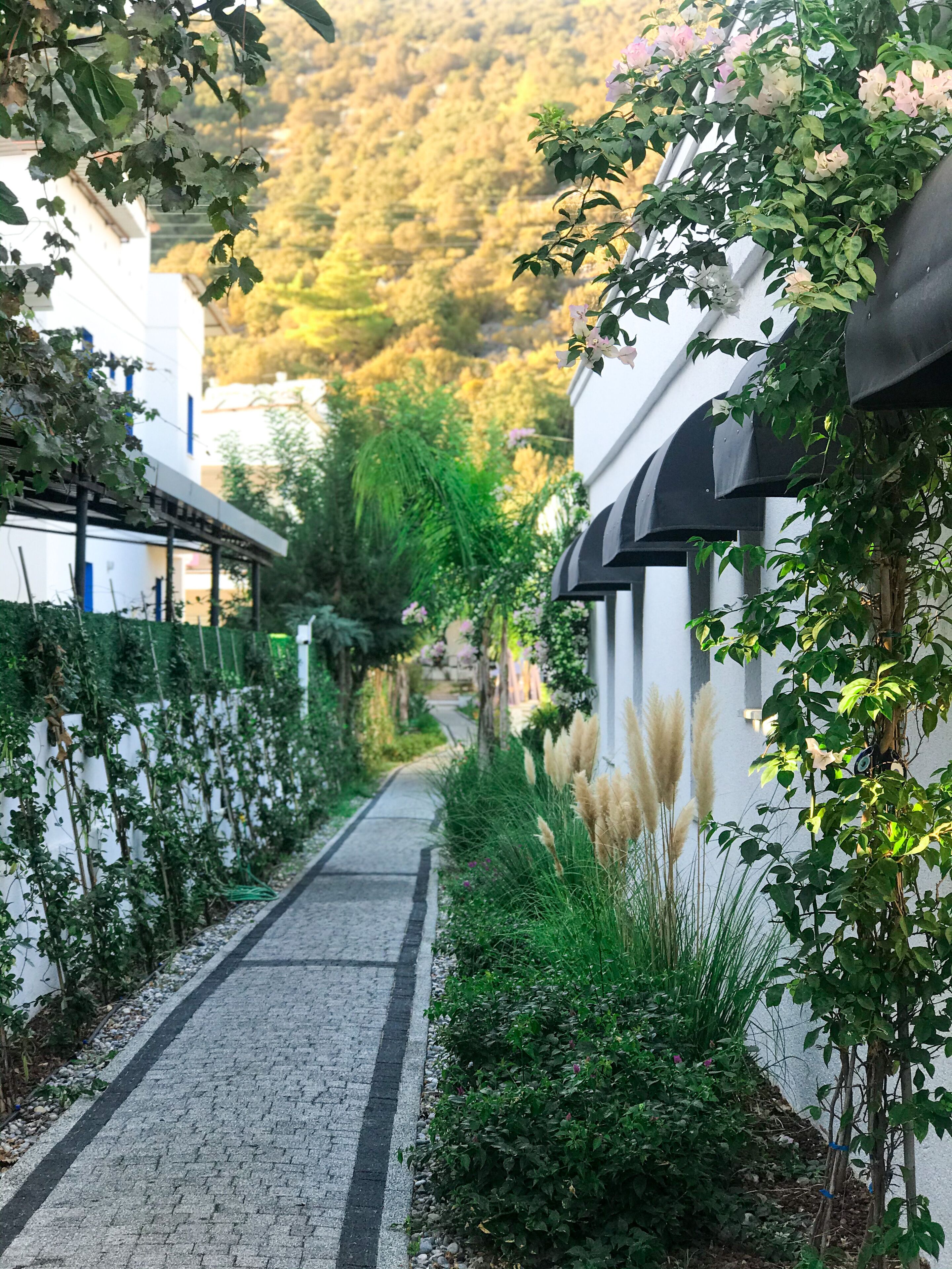 A pathway flanked by lush greenery and white buildings with black awnings.