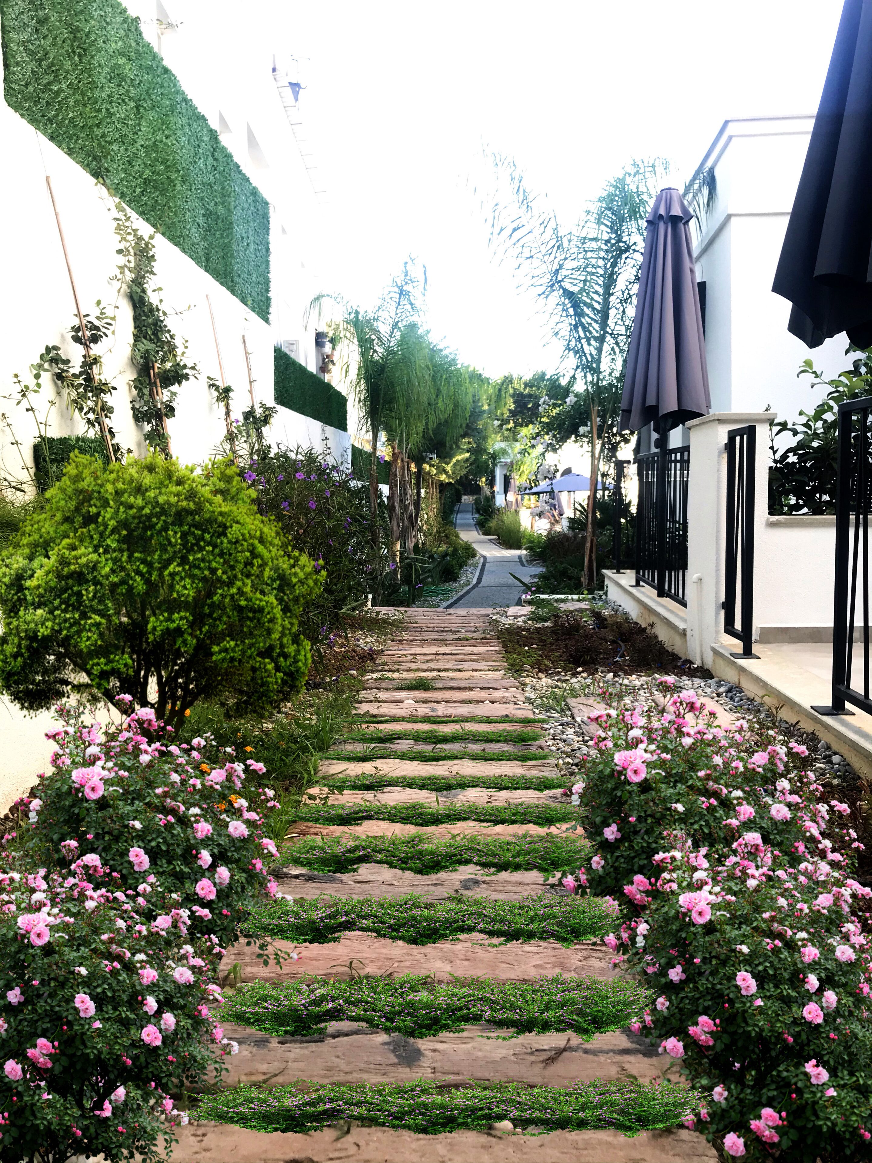 A pathway lined with pink flowers and greenery, leading to a building with a white facade and black railings.