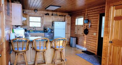 Cozy Winter Getaway! Family Fun On Elm Island Lake.