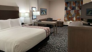 Habitación de hotel con una cama grande, un escritorio, una silla, un televisor y una alfombra estampada.