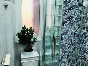 Shower, hair dryer, bidet, towels