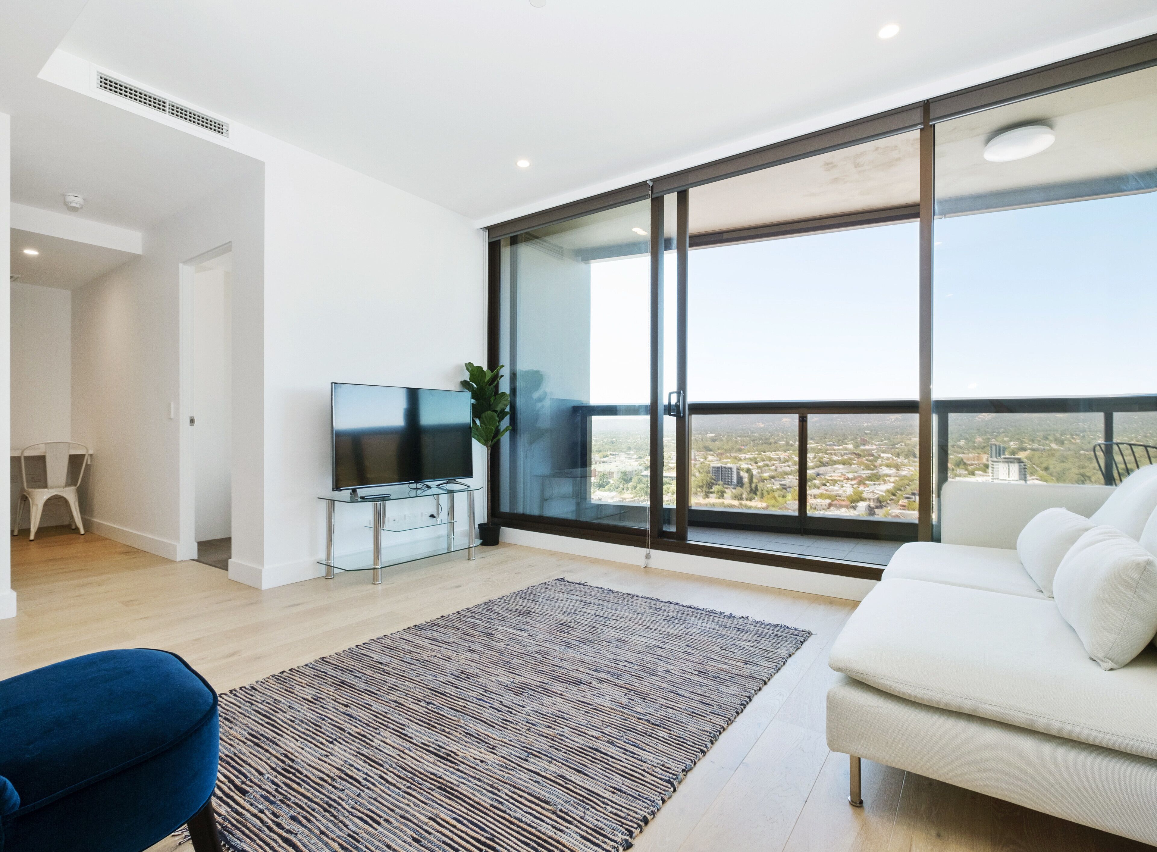 Swainson at Vue-2503