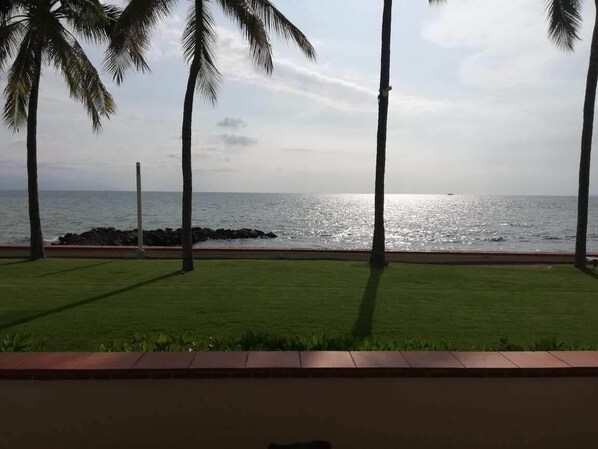 Property grounds - BUGANVILLIAS RESORT FRONT BEACH GROUND FLOOR 8 PEOPLE LUXURIOUS, FULL AMENITIES (Puerto Vallarta)