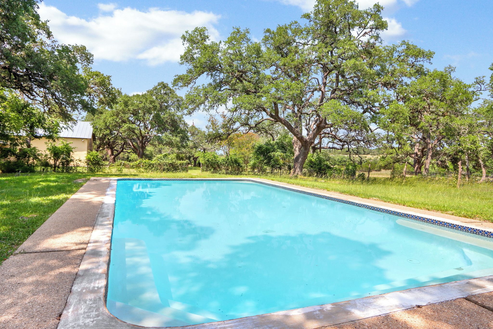 Une piscine rectangulaire bordée de carreaux, entourée d’une pelouse et d’arbres.