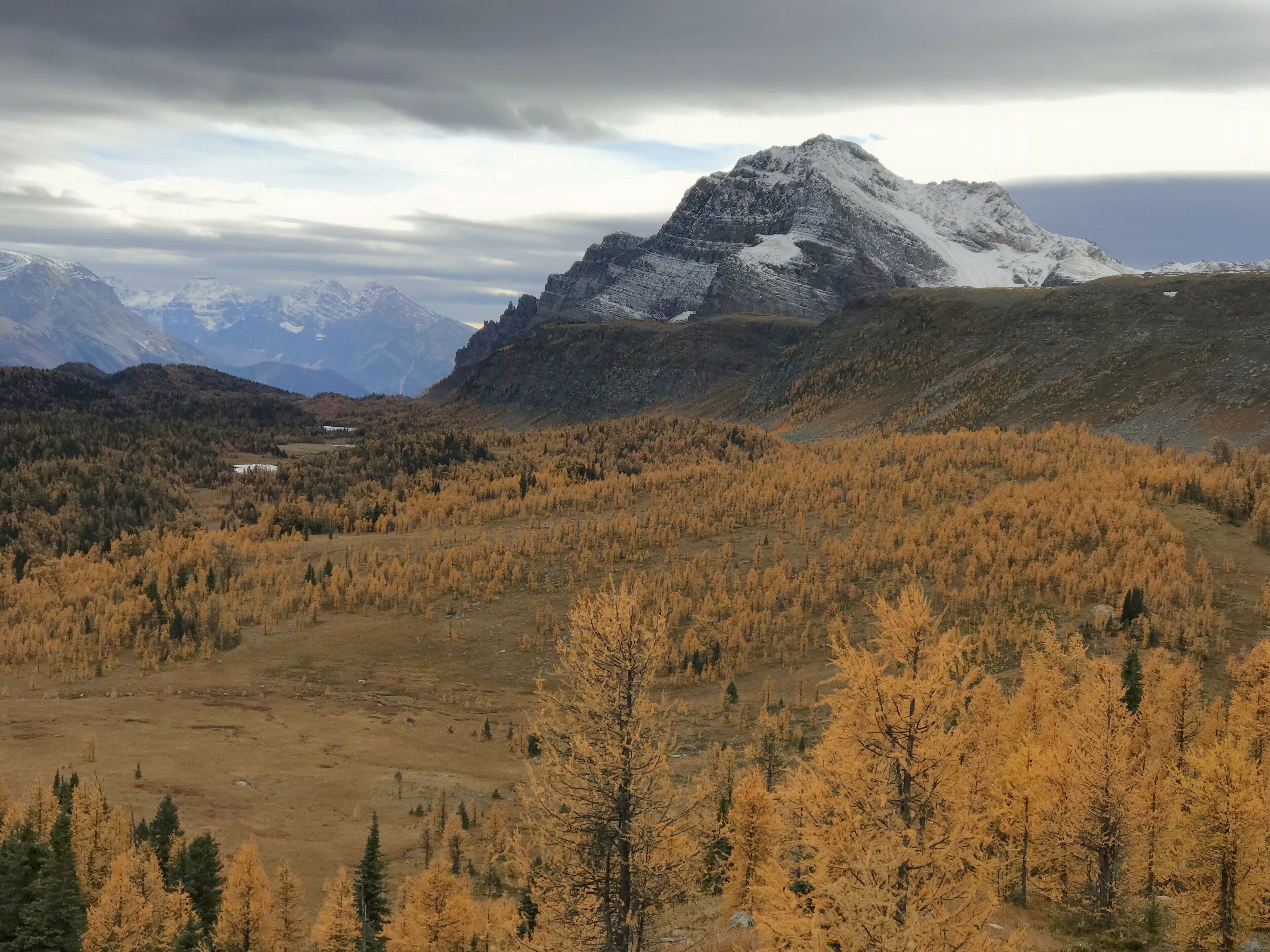 Eine Berglandschaft mit herbstlich gefärbten Bäumen und einem schneebedeckten Gipfel im Hintergrund.