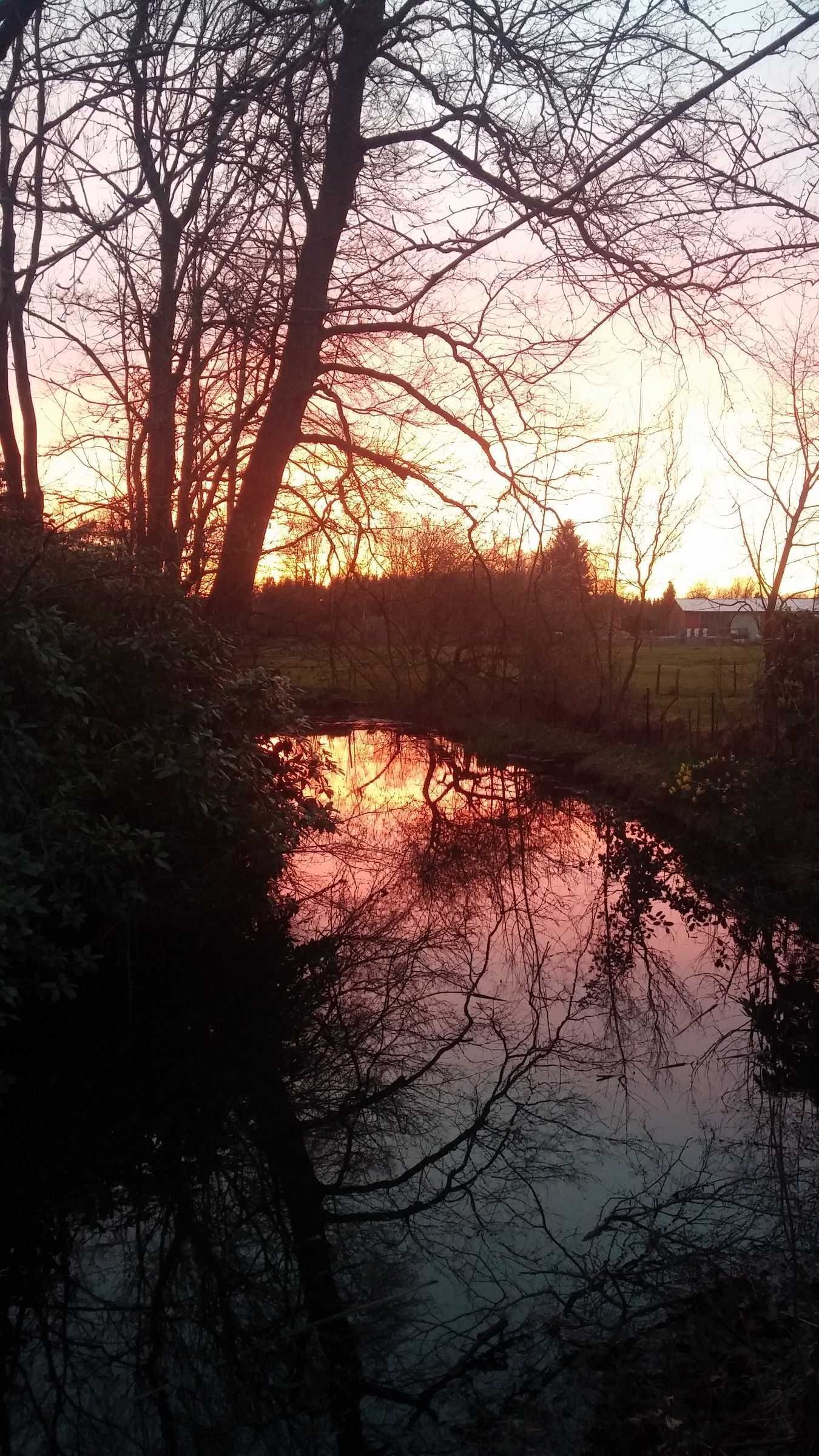 A serene landscape with a body of water reflecting the sky, surrounded by trees and a distant building.