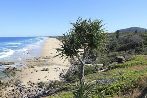 Una playa con terreno rocoso y vegetación escasa.