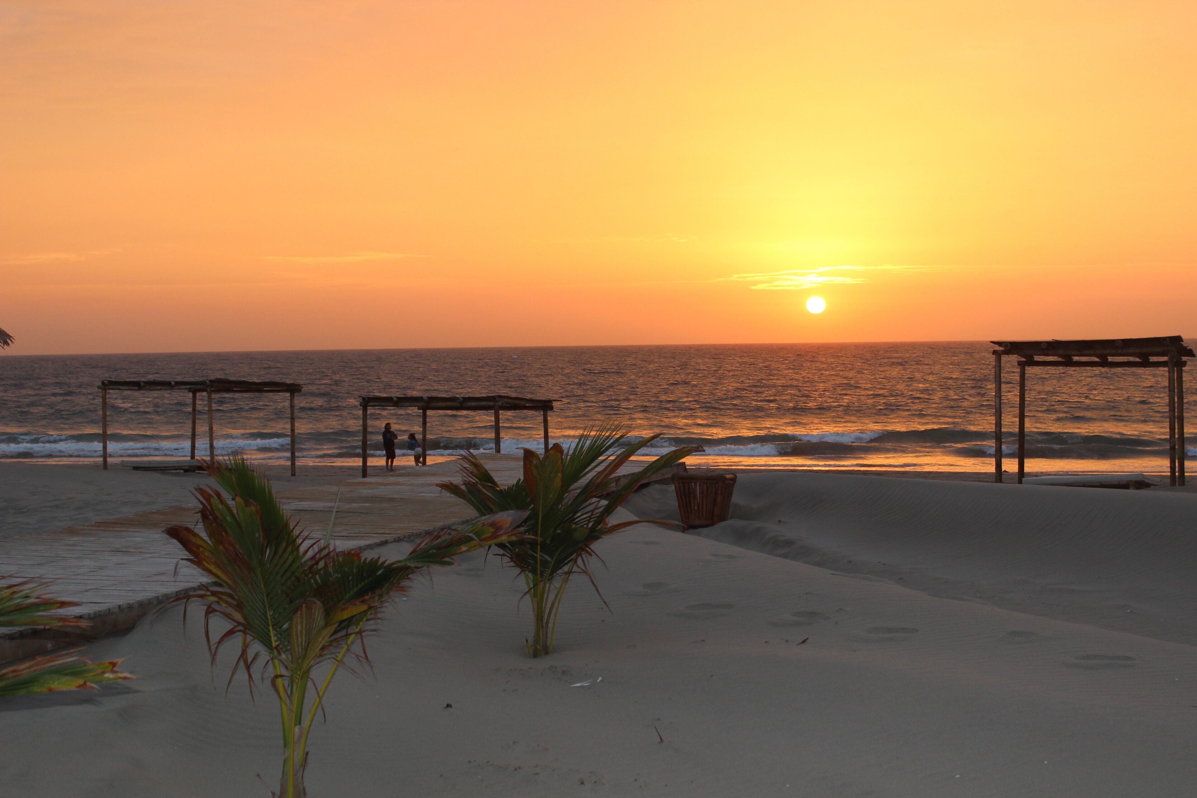 A beach with a sunset, palm trees, and a wooden structure.