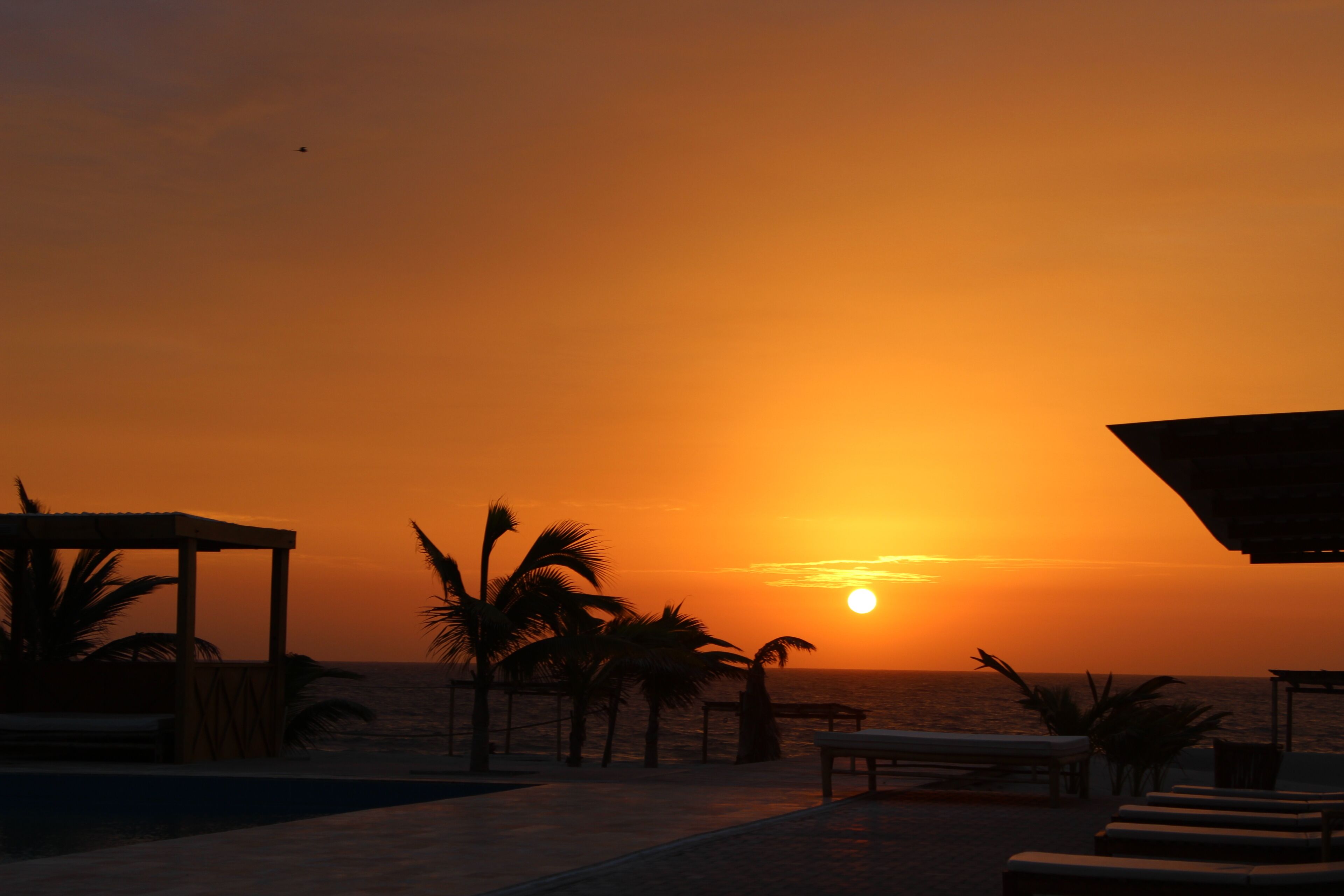 Vista de un atardecer desde un resort frente a la playa, con sillas de descanso y palmeras.