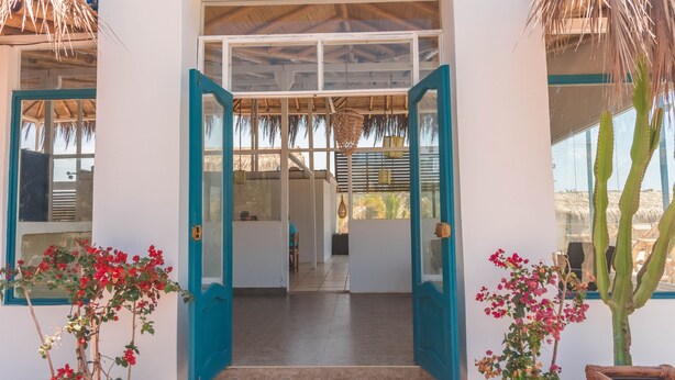 Una entrada de edificio moderna con puertas de vidrio, techo de paja y una planta de cactus.