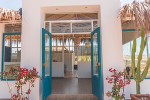 Une entrée moderne avec des portes en verre, un toit de chaume et un cactus.