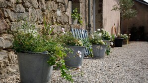 Potted plants in front of a stone wall.