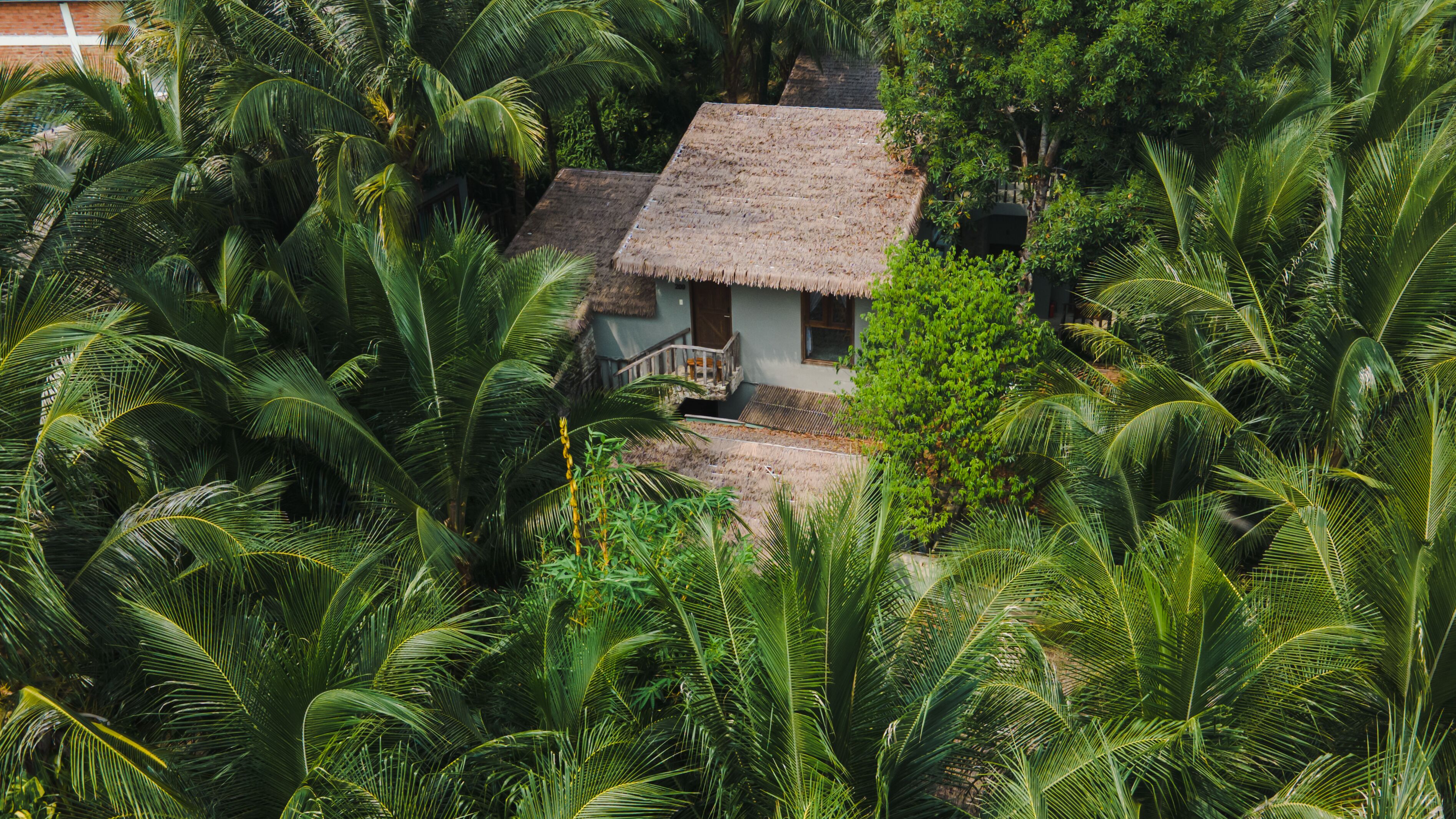 A thatched-roof house surrounded by dense tropical foliage.
