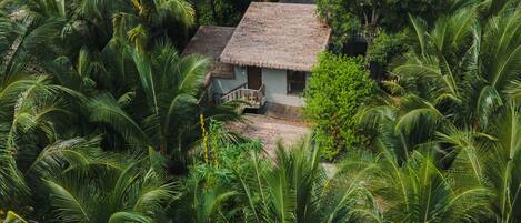 A thatched-roof house surrounded by dense tropical foliage.